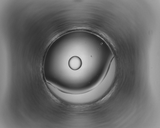 X0000111590985200907301422