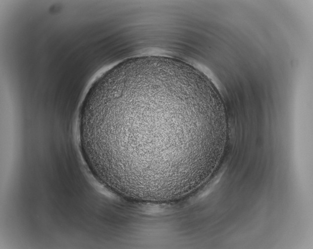 X0000111590987200907301422