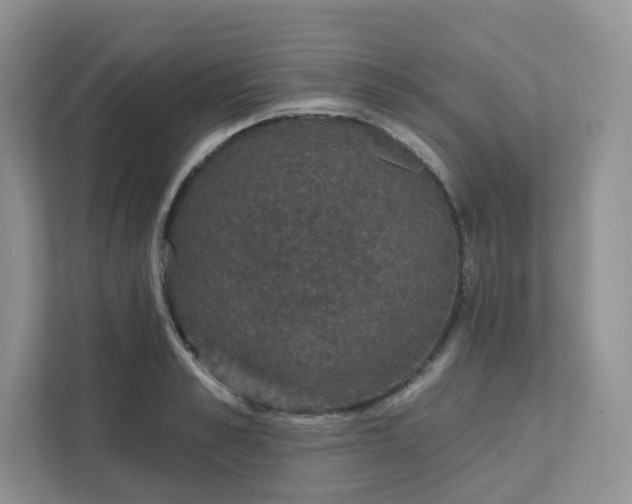 X0000111590989200907301422