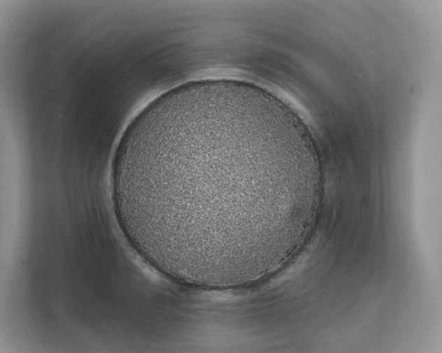 X0000111590990200907301422