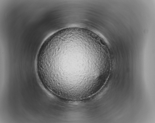 X0000111590991200907301422