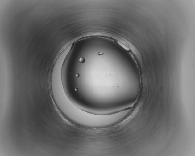 X0000111590993200907301422