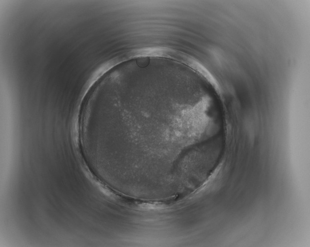 X0000111590994200907301422