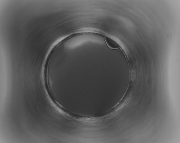 X0000111590995200907301422