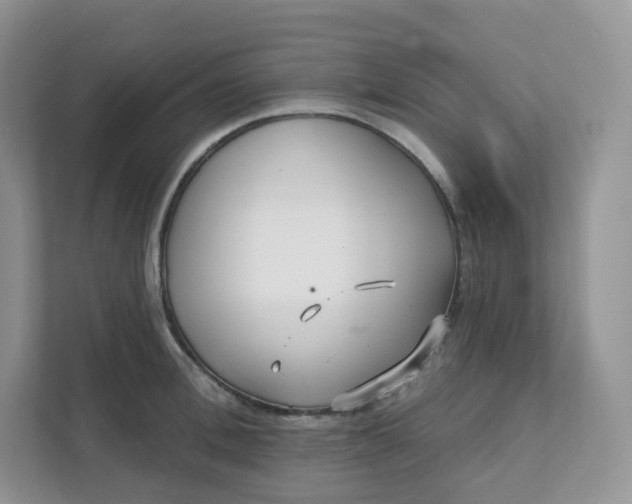 X0000111590996200907301422