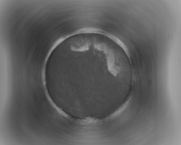 X0000111590997200907301422