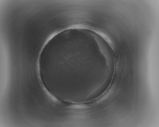 X0000111590998200907301422