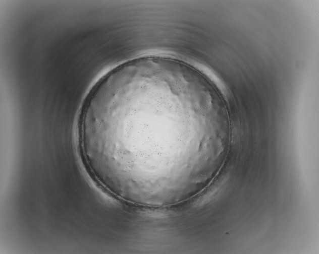 X0000111590999200907301422