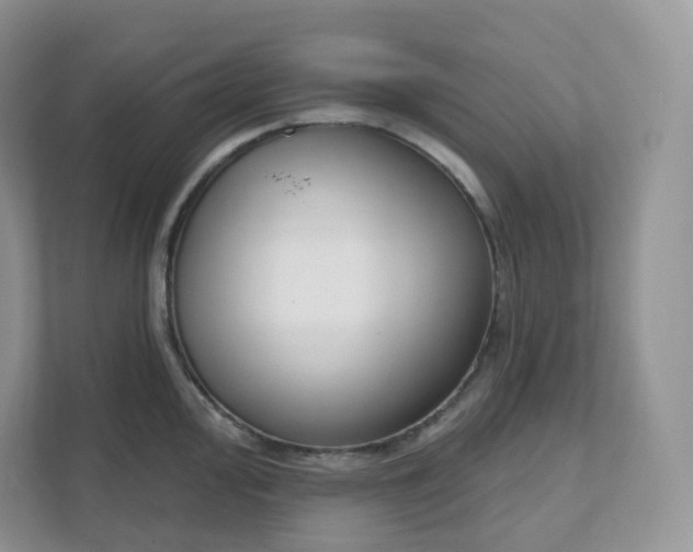 X0000111591000200907301422