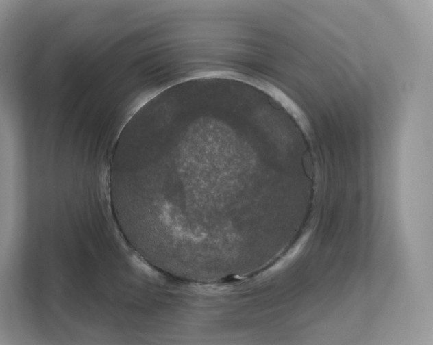 X0000111591001200907301422