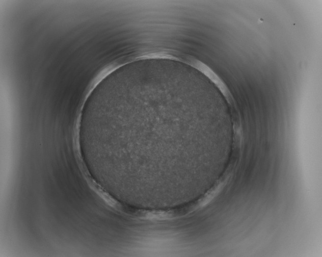 X0000111591002200907301422