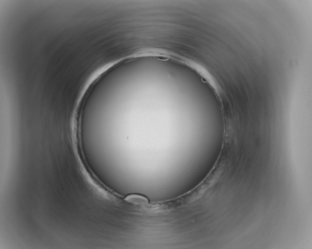 X0000111591003200907301422