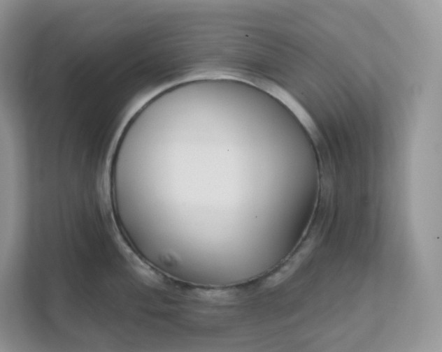 X0000111591004200907301422