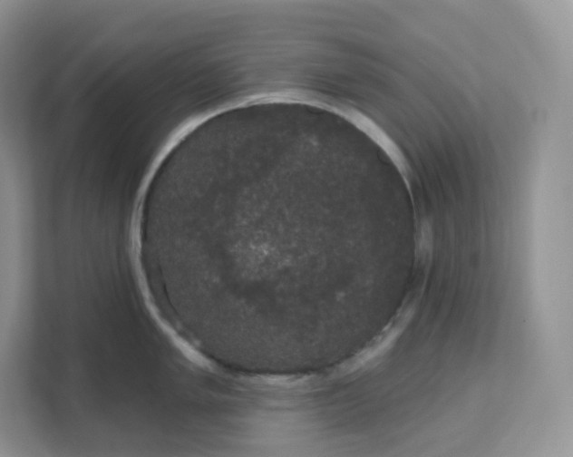 X0000111591005200907301422