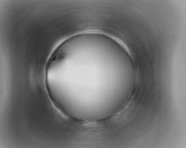 X0000111591006200907301422