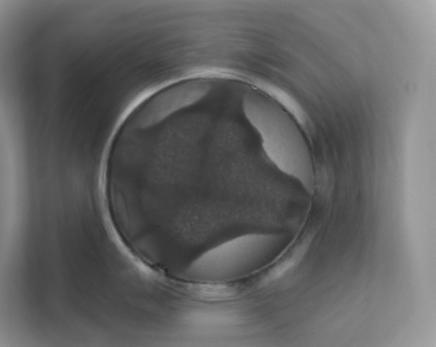 X0000111591007200907301422