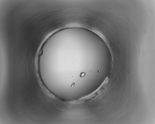 X0000111591008200907301422