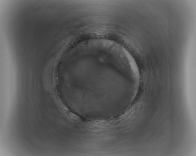 X0000111591009200907301422