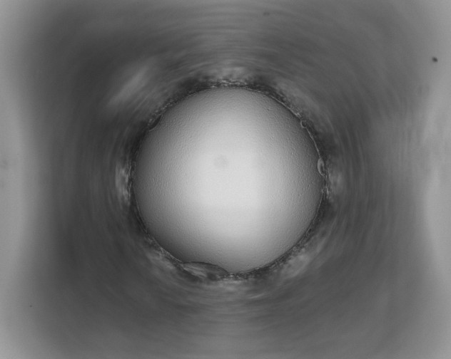 X0000111591010200907301422