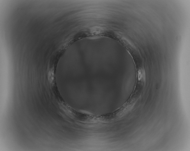 X0000111591011200907301422