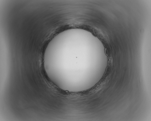 X0000111591012200907301422