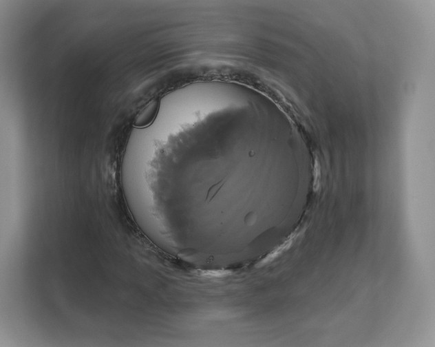 X0000111591013200907301422