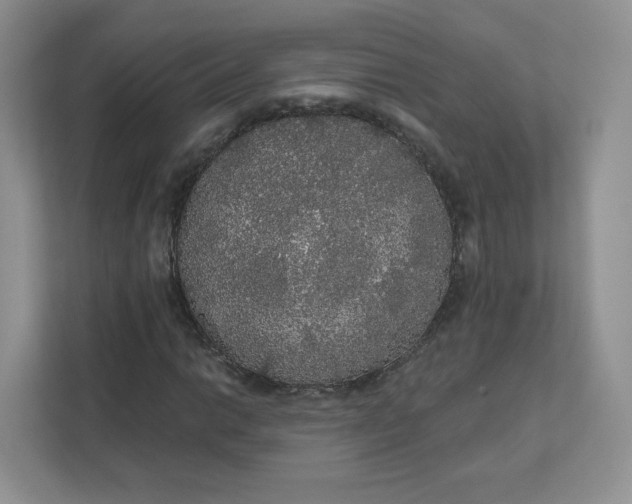 X0000111591014200907301422