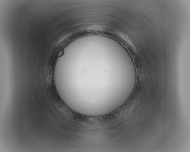 X0000111591015200907301422