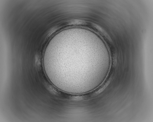 X0000111591017200907301422