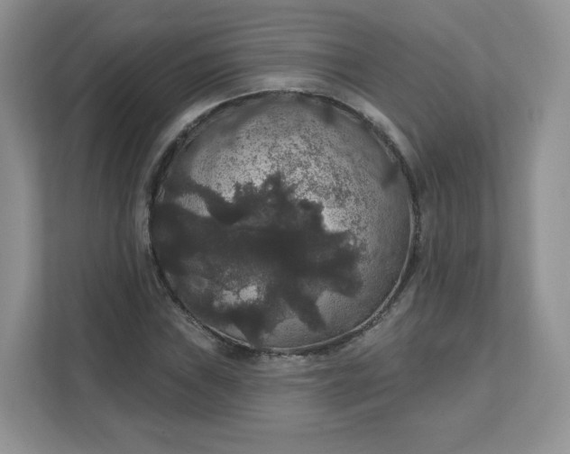 X0000111591019200907301422