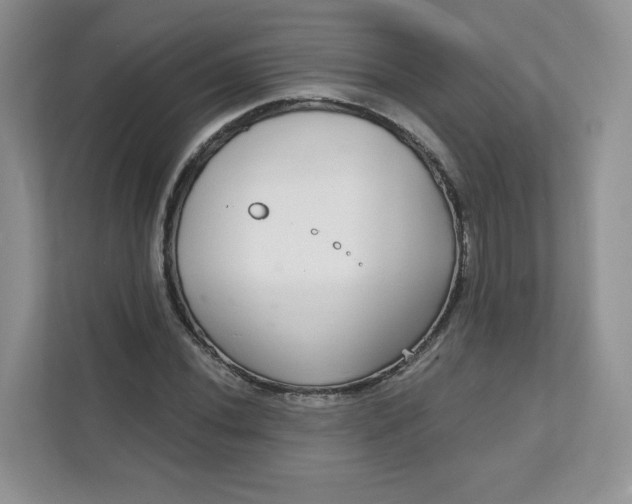 X0000111591020200907301422