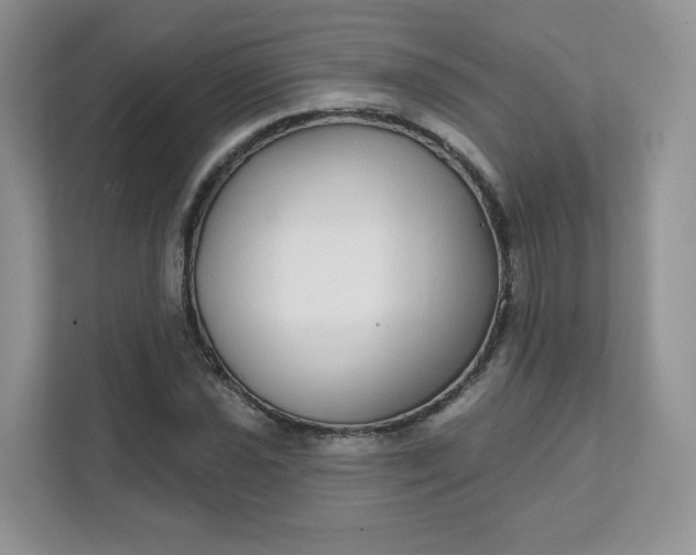 X0000111591021200907301422