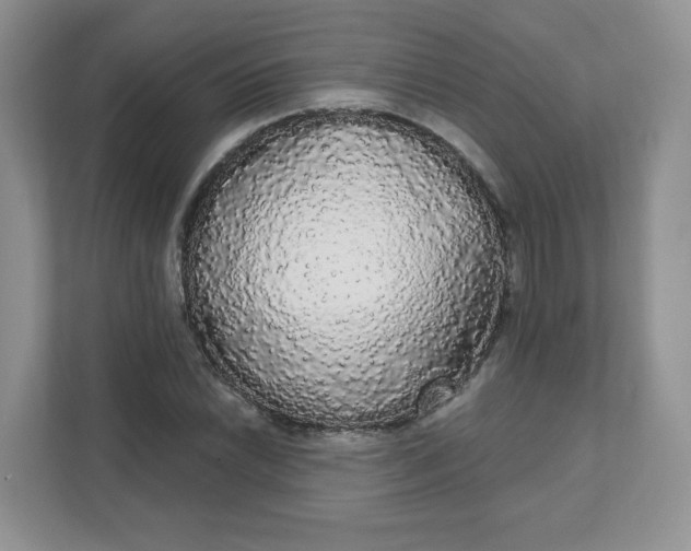 X0000111591022200907301422