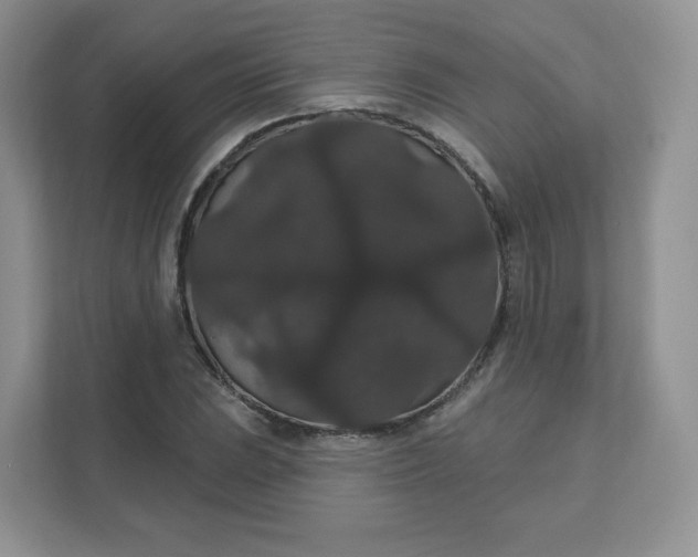 X0000111591023200907301422