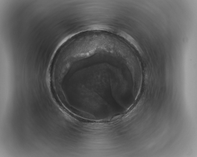 X0000111591024200907301422