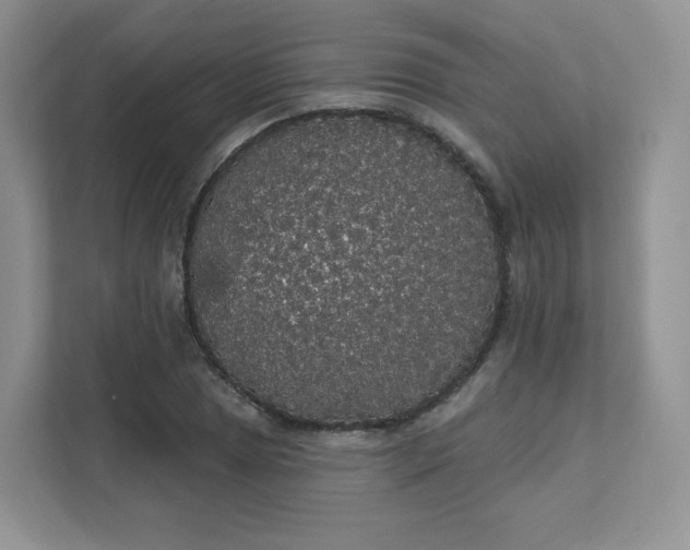 X0000111591025200907301422