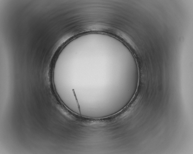 X0000111591026200907301422