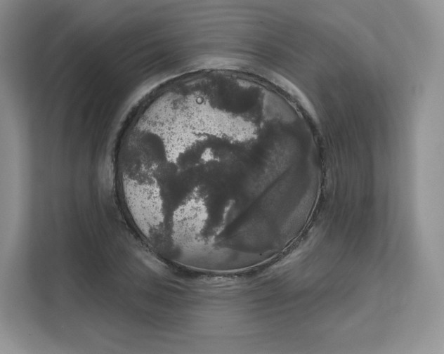 X0000111591027200907301422