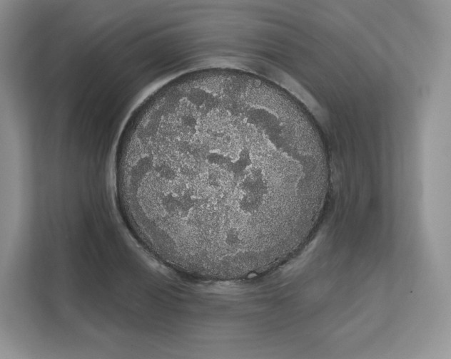 X0000111591028200907301422