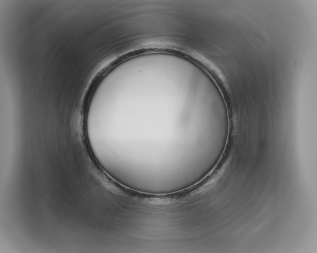 X0000111591029200907301422