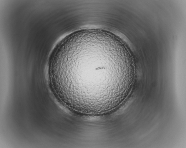 X0000111591030200907301422