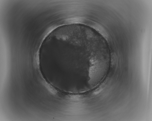 X0000111591031200907301422