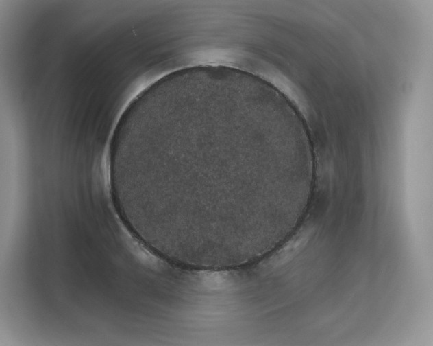 X0000111591032200907301422