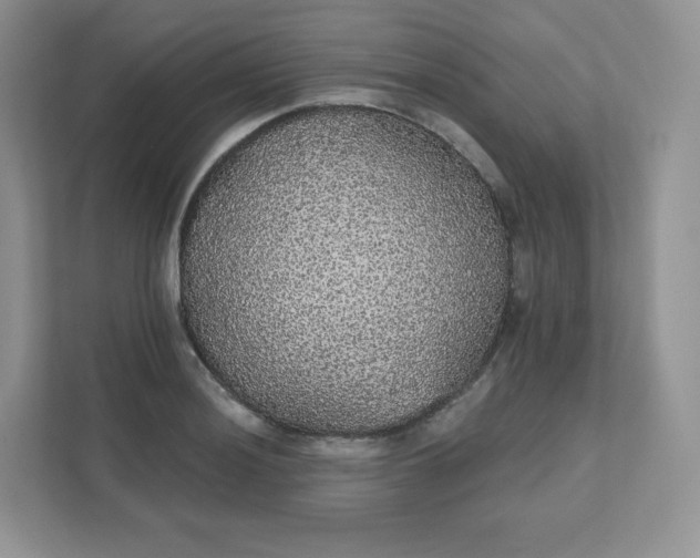 X0000111591036200907301422