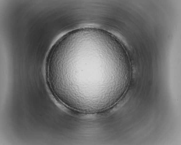 X0000111591038200907301422