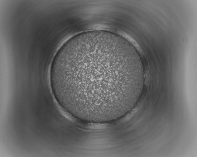 X0000111591039200907301422