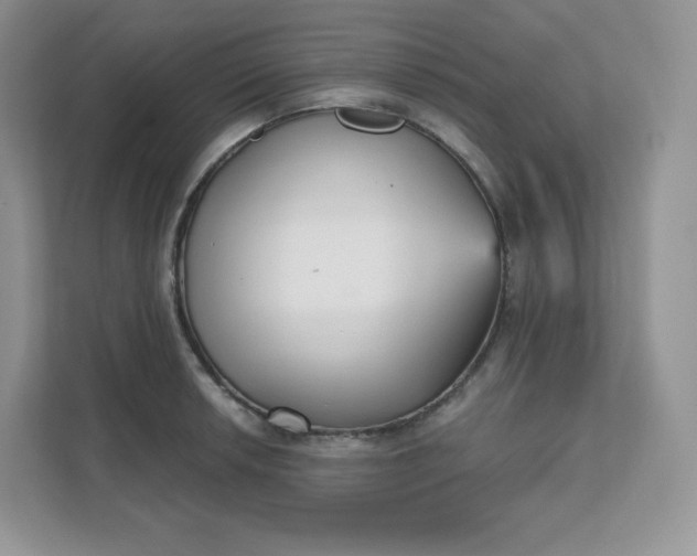 X0000111591042200907301422