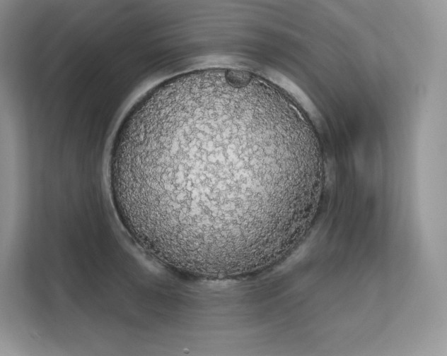 X0000111591043200907301422