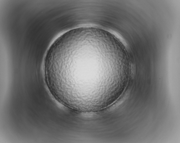 X0000111591046200907301422