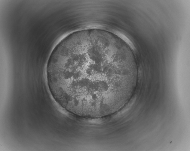 X0000111591047200907301422